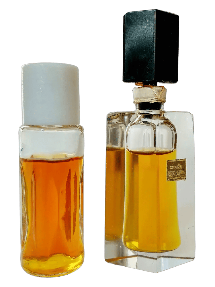 Rīdziniece (Рижанка) by Dzintars