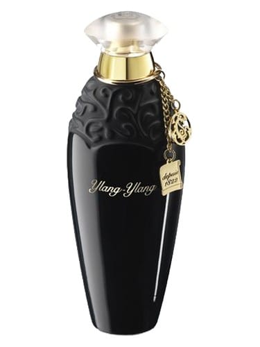 Ylang Ylang by E. Coudray