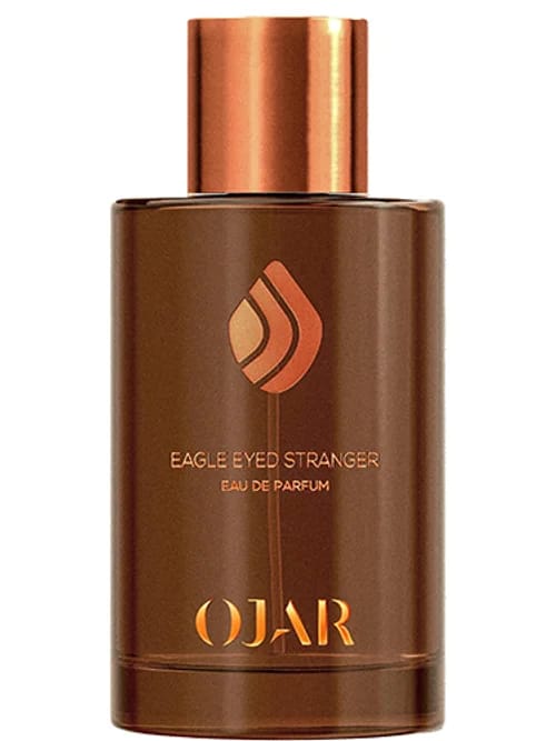 Eagle Eyed Stranger by Ojar