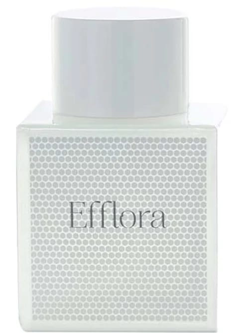 Efflora by Odin New York