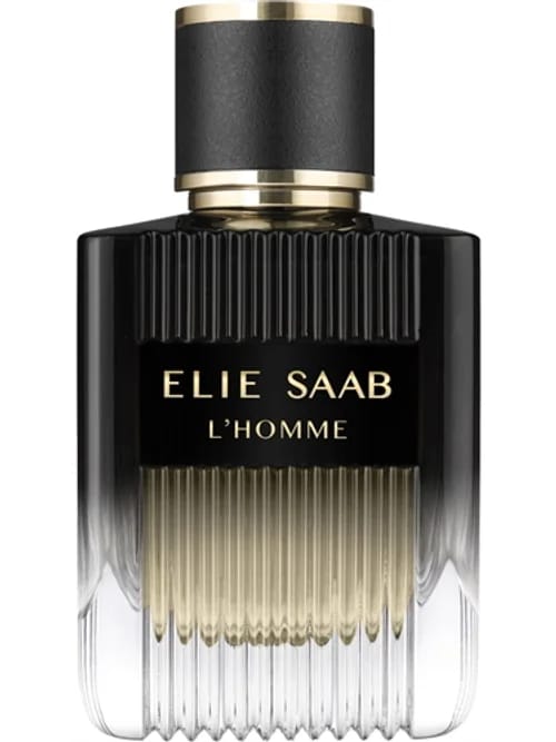 L'Homme by Elie Saab