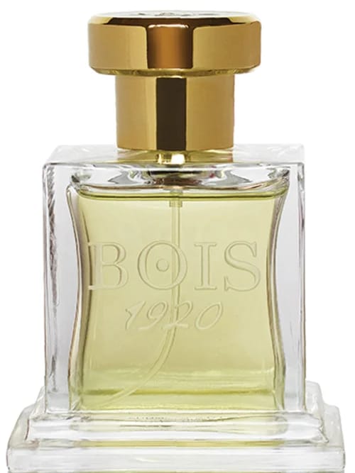 Elite I by Bois 1920