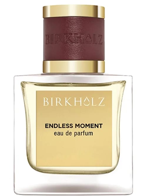 Endless Moment by Birkholz