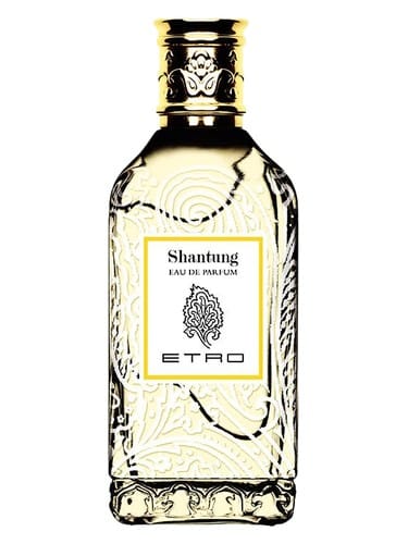 Shantung by Etro