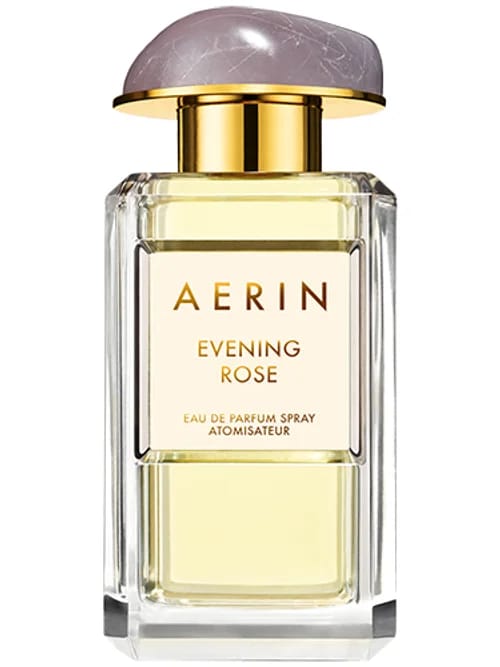Evening Rose by Aerin