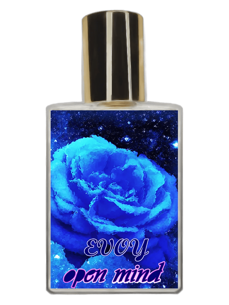 Open Mind by EVOY