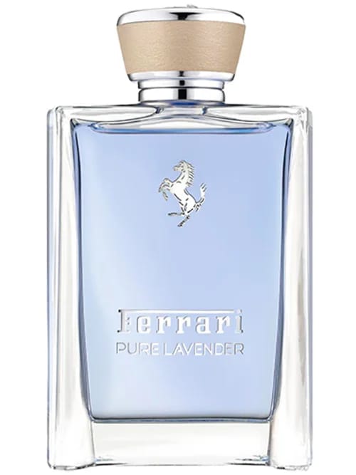 Pure Lavender Essence by Ferrari