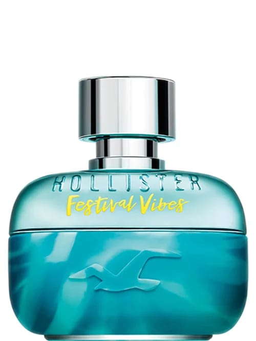 Festival Vibes For Him by Hollister
