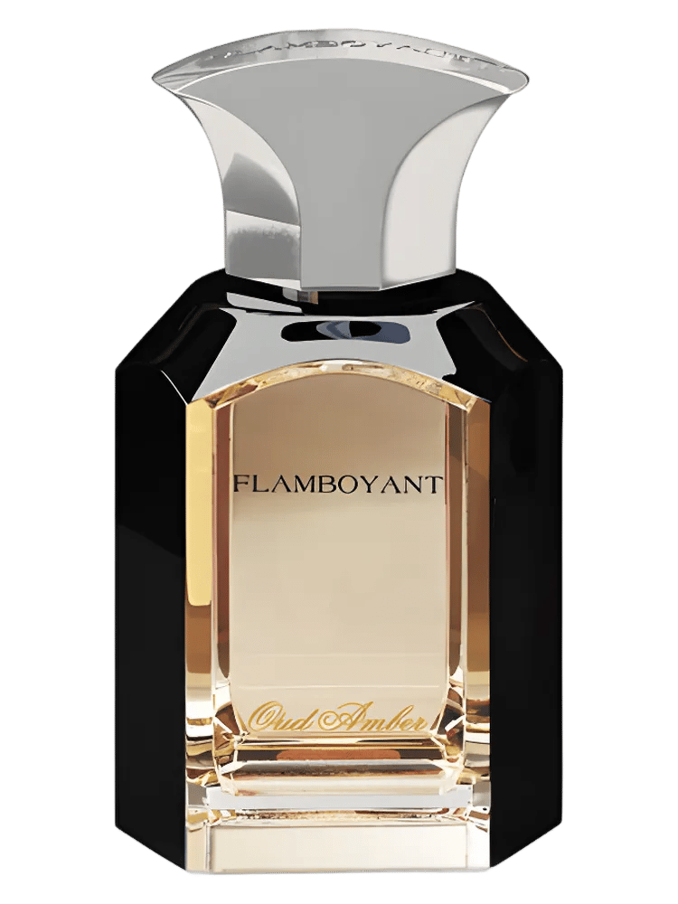 Oud Amber by Flamboyant