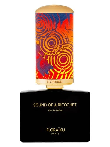Sound Of A Ricochet by Floraïku