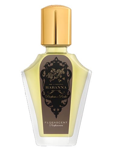 Habanna by Florascent