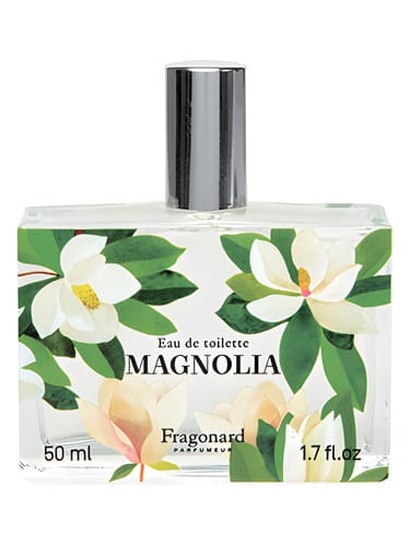 Magnolia by Fragonard