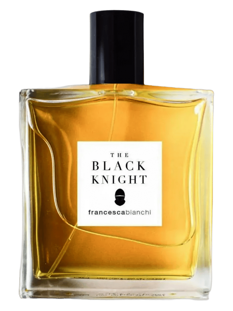 The Black Knight by Francesca Bianchi