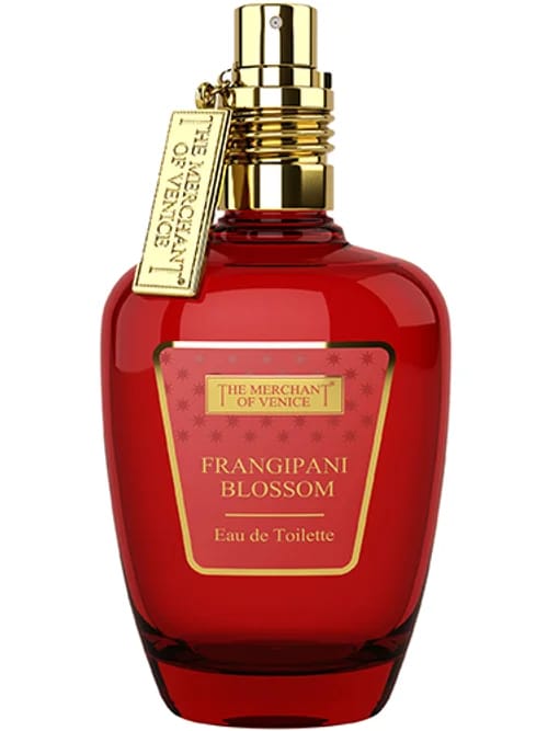 Frangipani Blossom by The Merchant Of Venice