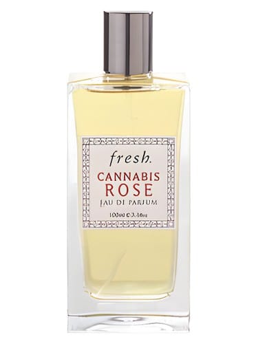 Cannabis Rose by Fresh