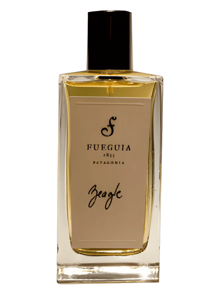 Beagle by Fueguia 1833