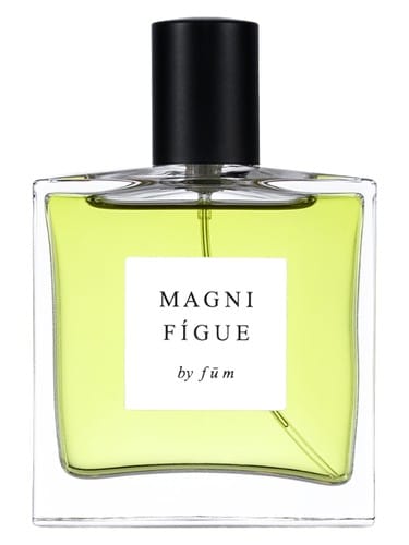 Magnifígue by fūm