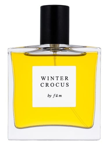 Winter crocus by fūm