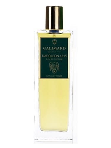 Napoléon 1815 by Galimard