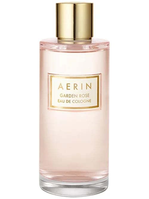 Garden Rose by Aerin