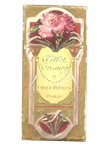 Oeillet Trianon by Gellé Frères