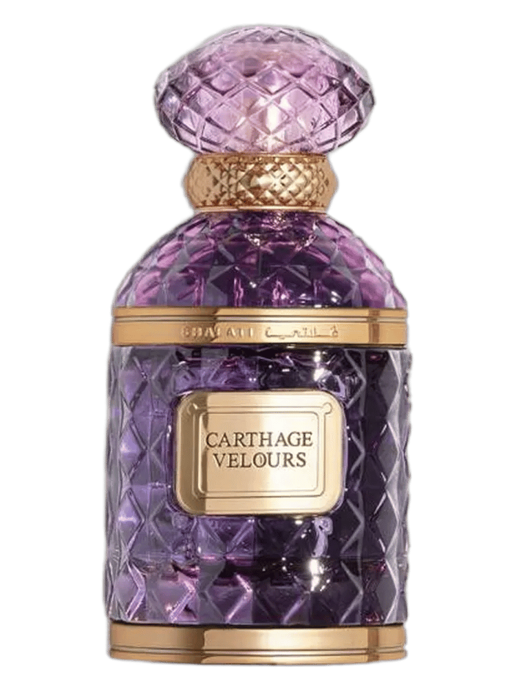 Carthage Velours by Ghalati