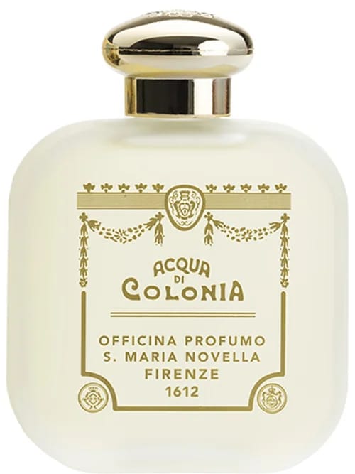 Ginestra by Santa Maria Novella