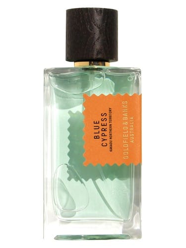Blue Cypress by Goldfield & Banks Australia