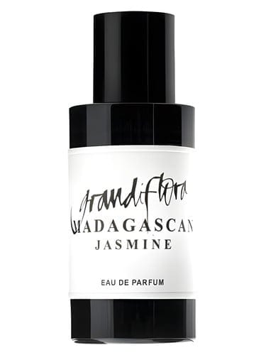 Madagascan Jasmine by Grandiflora