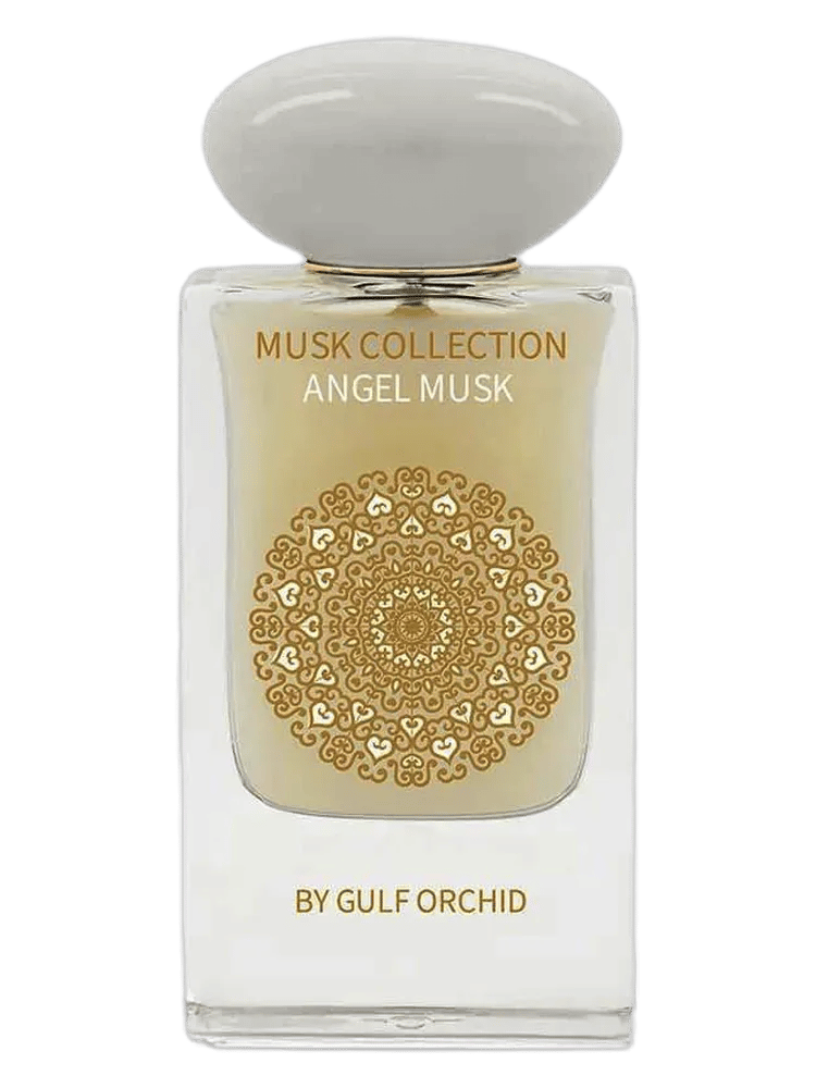 Angel Musk by Gulf Orchid