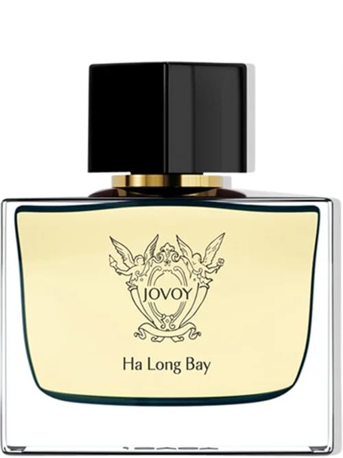 Ha Long Bay by Jovoy