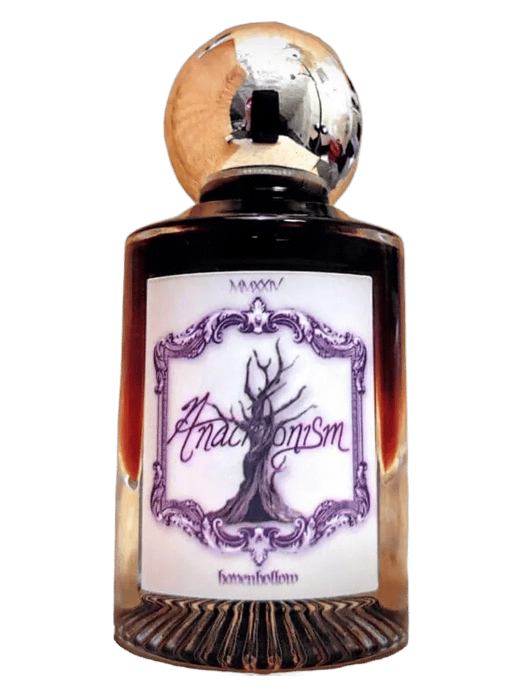 Anachronism by Havenhollow