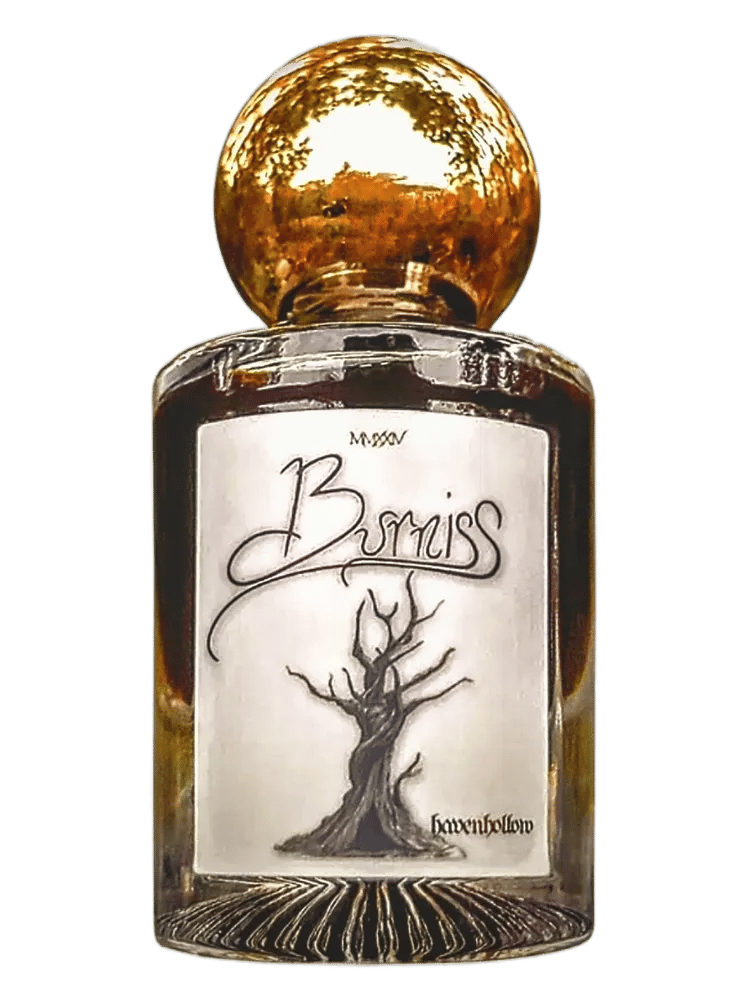 Burniss by Havenhollow