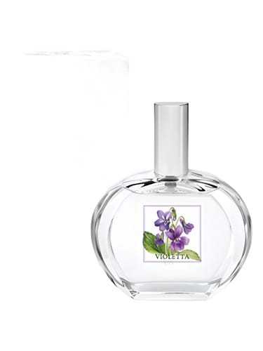 Violetta by Helan