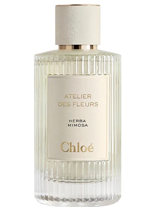 Herba Mimosa by Chloé