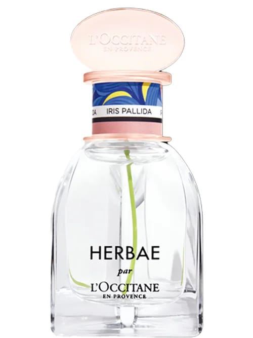 Herbae Iris Pallida by L'Occitane