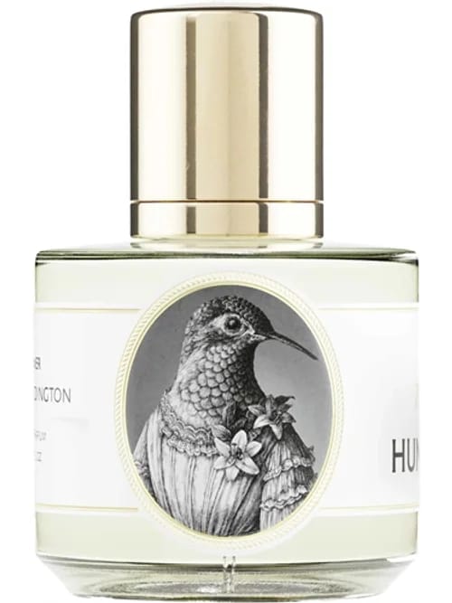 Hummingbird by Zoologist