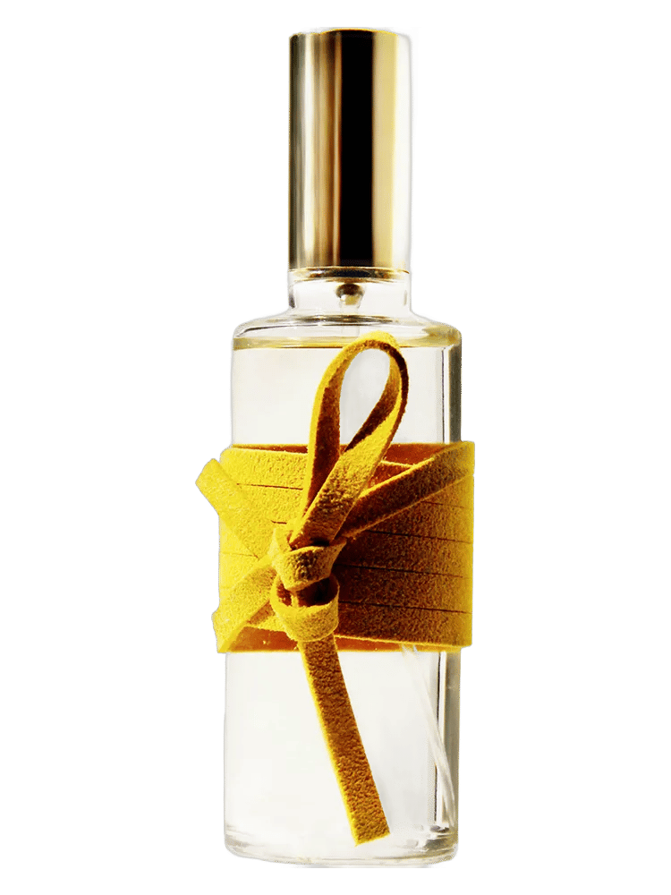Attache-Moi 55 by ICONOFLY