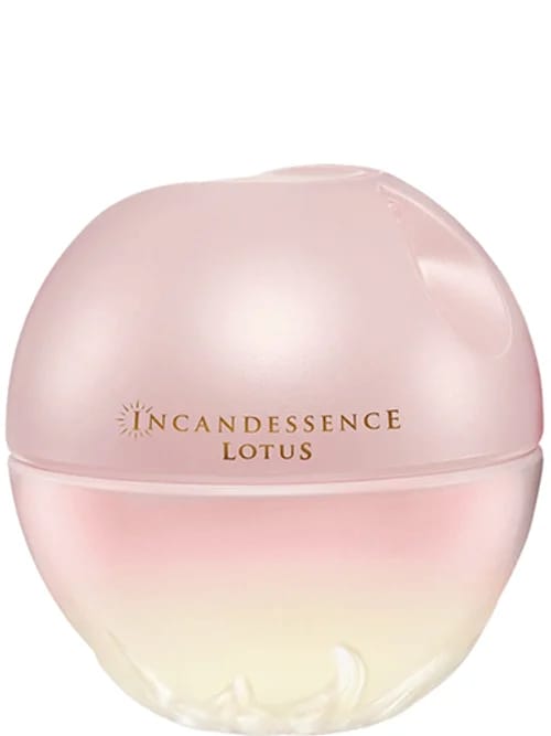 Incandessence Lotus by Avon