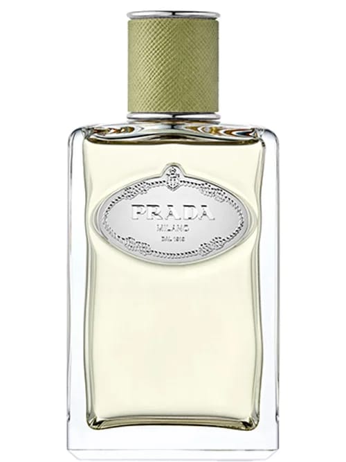 Infusion De Gingembre by Prada