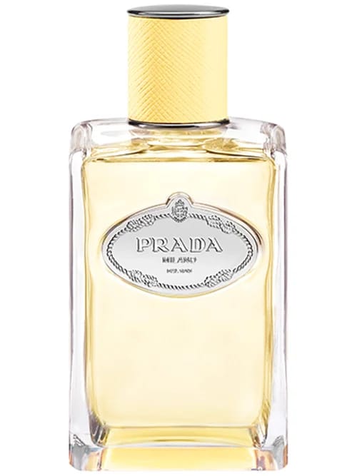 Infusion De Mimosa by Prada