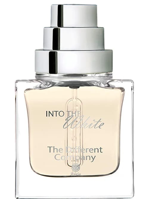 Into The White by The Different Company