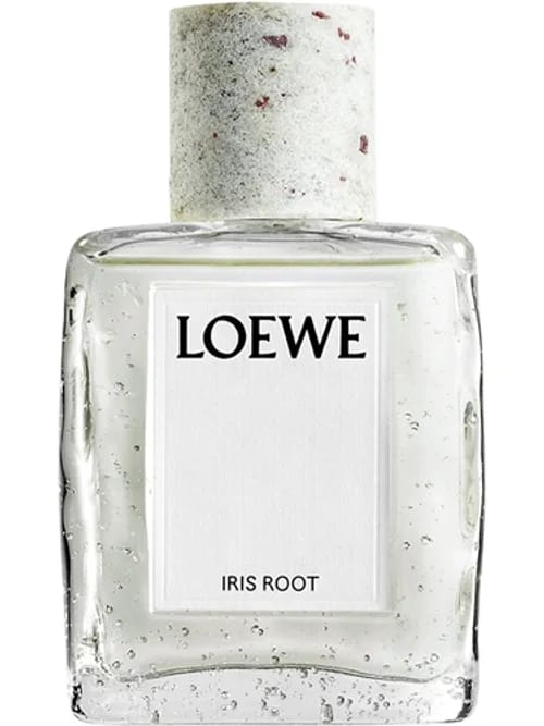Iris Root by Loewe