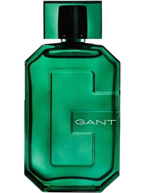 Ivy by Gant