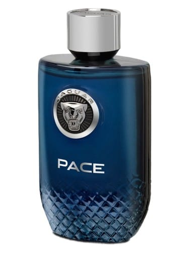 Jaguar Pace by Jaguar
