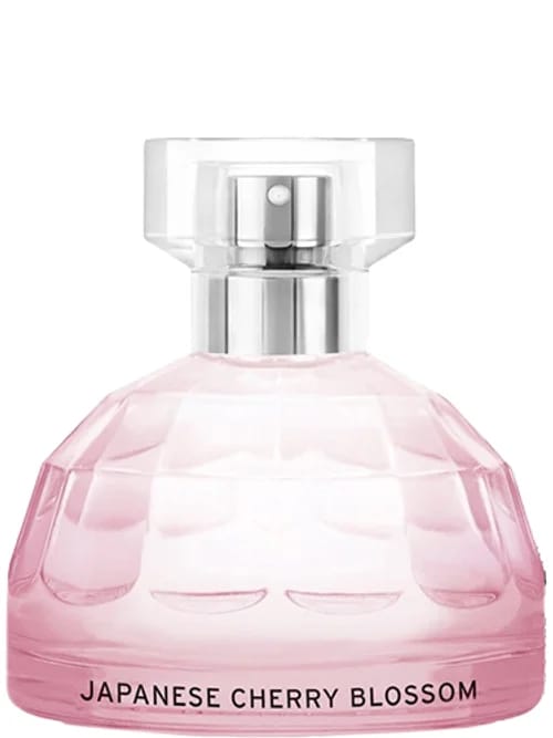 Japanese Cherry Blossom by The Body Shop