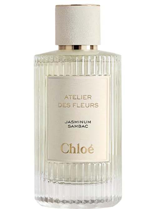 Jasminum Sambac by Chloé