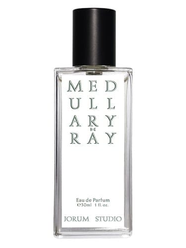 Medullary-ray by Jorum Studio