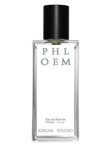 Phloem by Jorum Studio