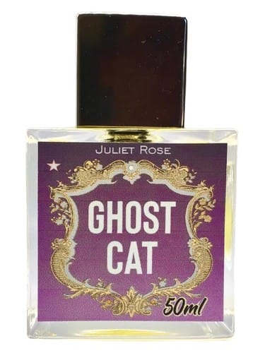 Ghost Cat by Juliet Rose